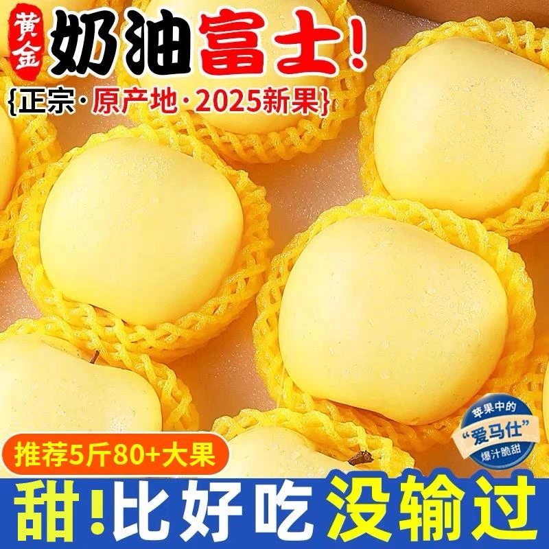 黄金奶油富士苹果新鲜水果当季冰糖心山东烟台新鲜采摘奶油苹果