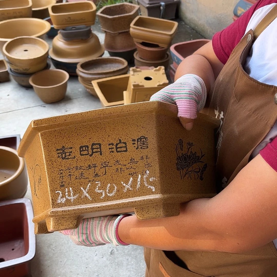 紫砂花盆盆景艺术