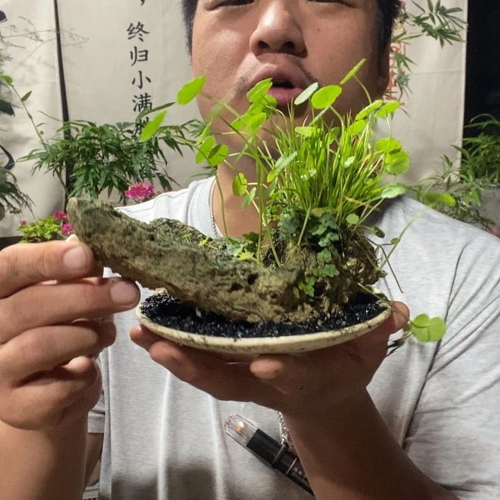俩****以实际为准退款拉黑拉黑86