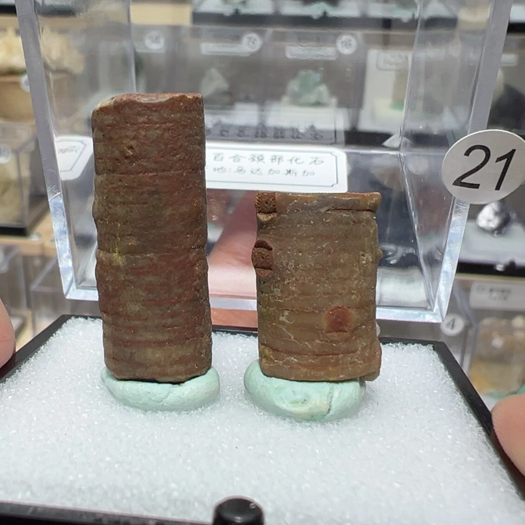 紫晶大型摆件（非配饰）银S925镶嵌