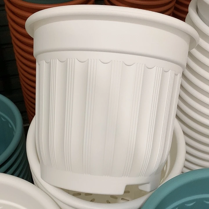 罗马口28高24白4个无托