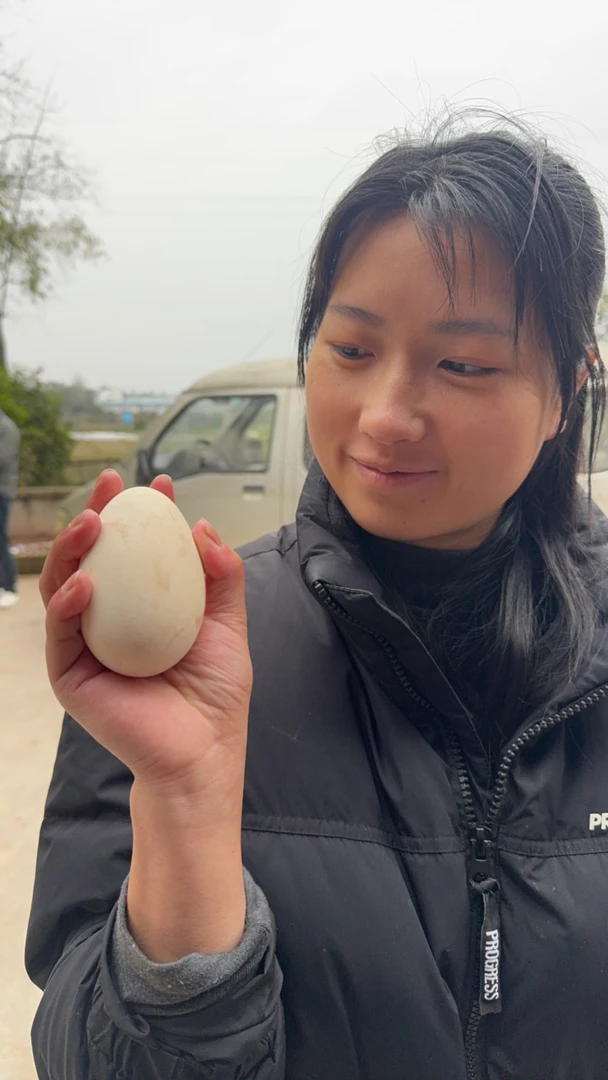 农村自家粮食土鸡蛋土鸭蛋土鹅蛋