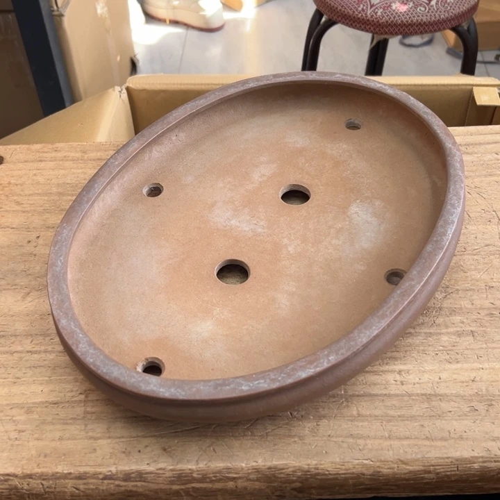 谢谢你的关心和支持我的