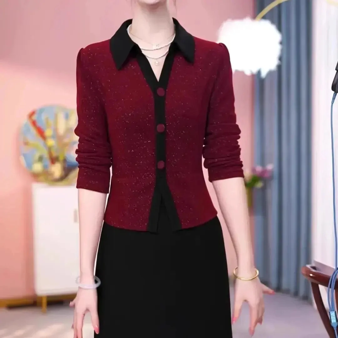 高档拼色假两件长袖连衣裙2024秋季新款女修身显瘦气质中长裙子