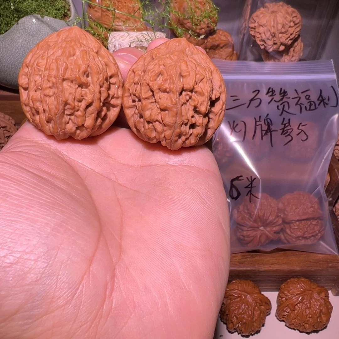 把件文玩核桃40尺全品龙尊