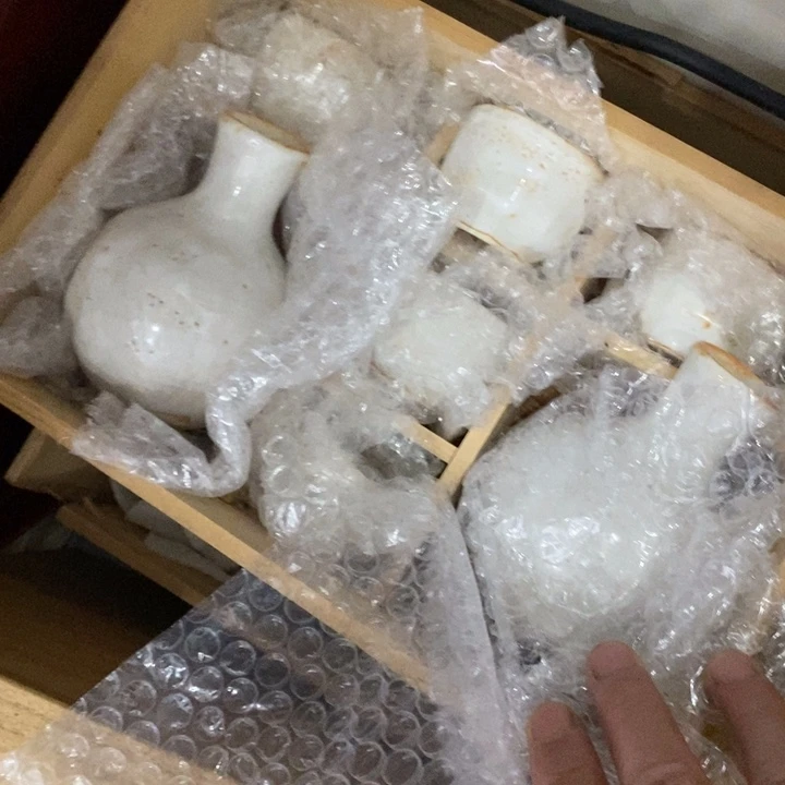 瓷片在这片美丽之滨也可以感受自然