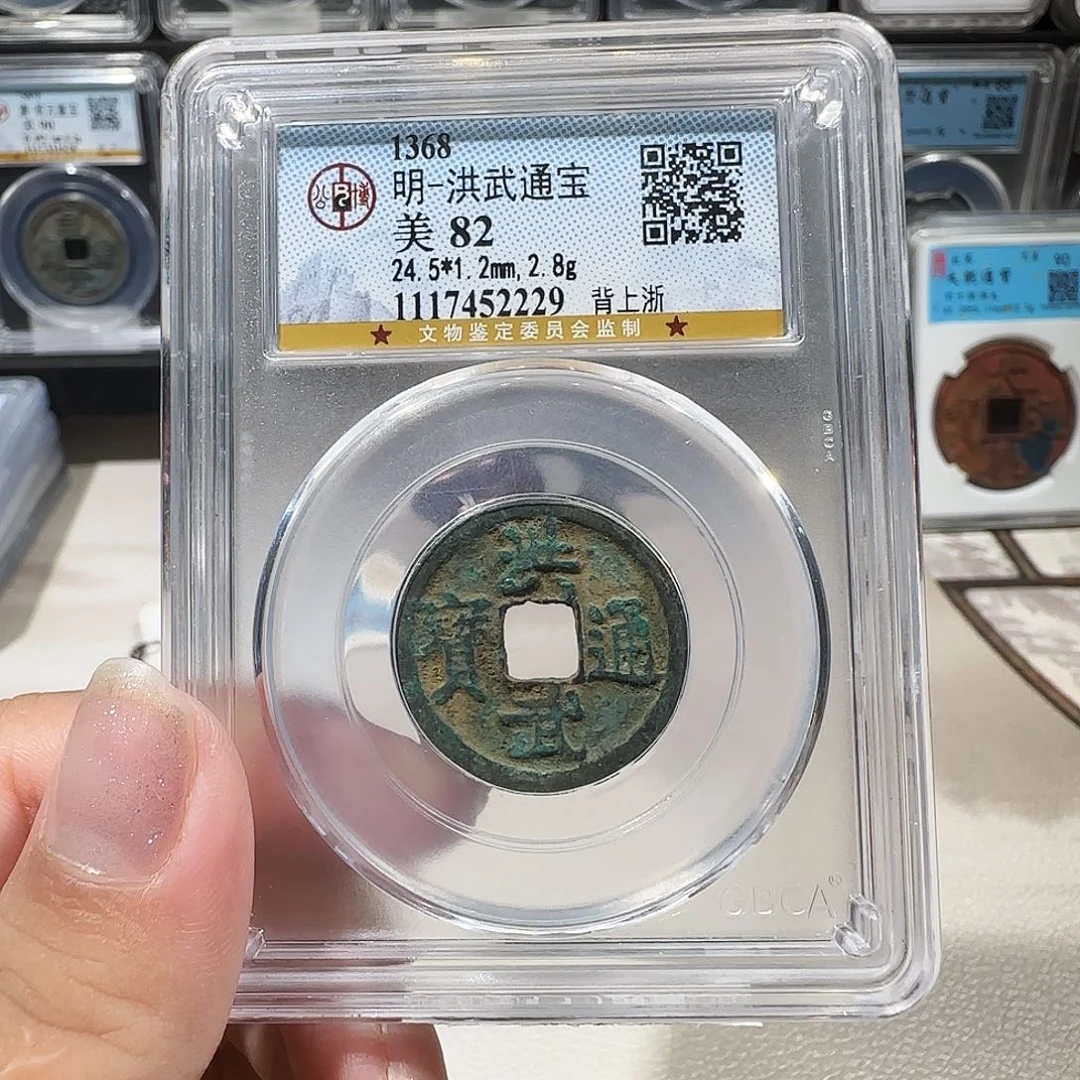 铜洪武背上浙 0233薇薇