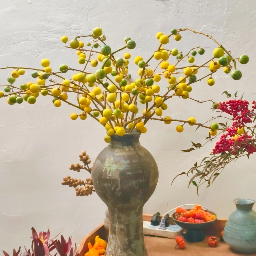 【花拾间】小西瓜 淡淡清香的迷你小西瓜 观赏期长 好养护