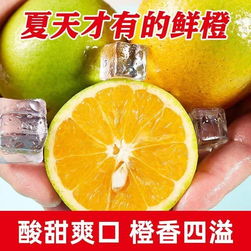 湖北秭归应季青皮夏橙酸甜口感新鲜采摘榨汁薄皮孕妇商超品手剥