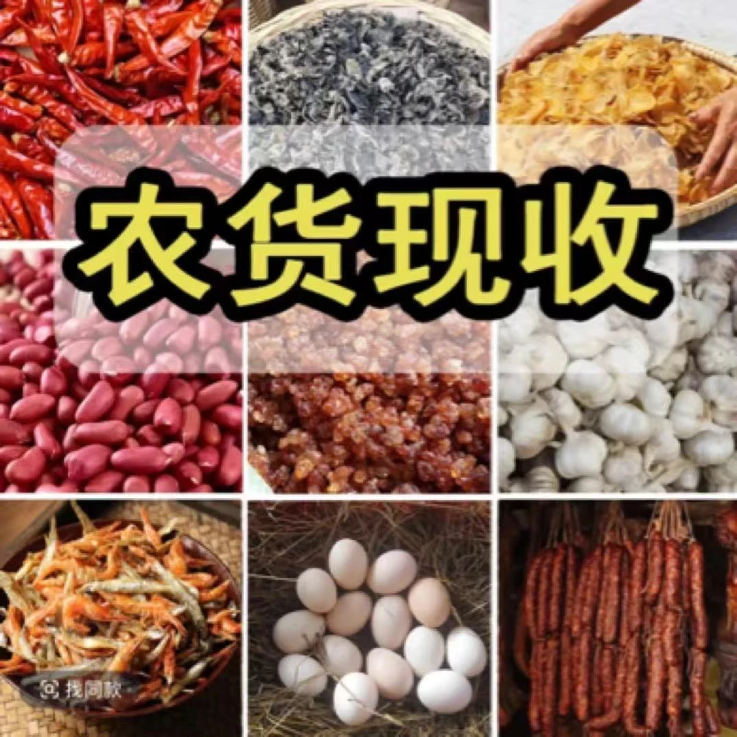（娟娟助农）新鲜农产品土豆等