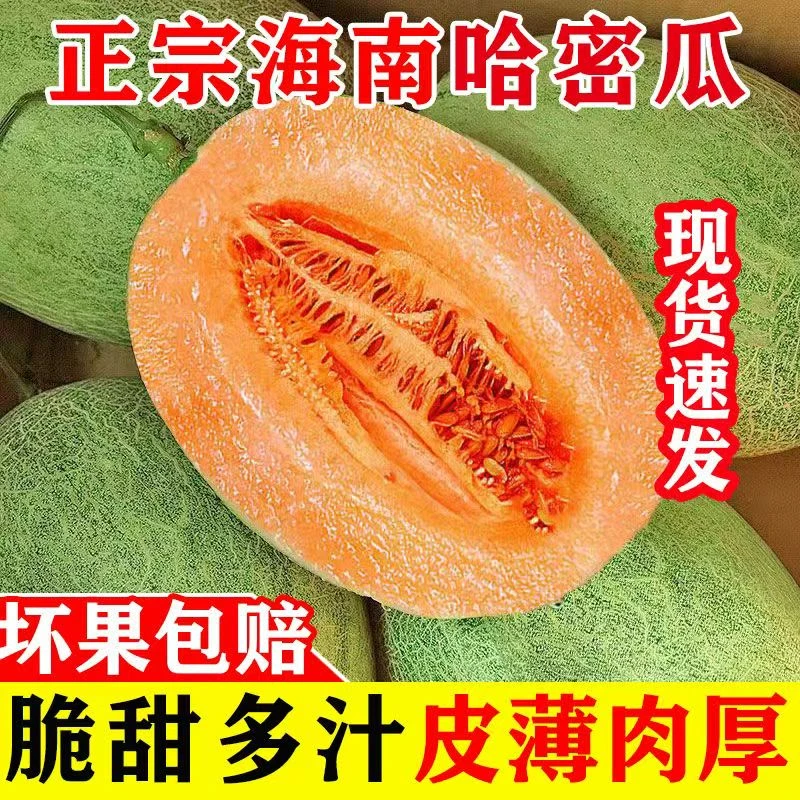 正宗海南哈密瓜爆甜新鲜应季水果薄皮哈密瓜直发哈密瓜含箱10斤