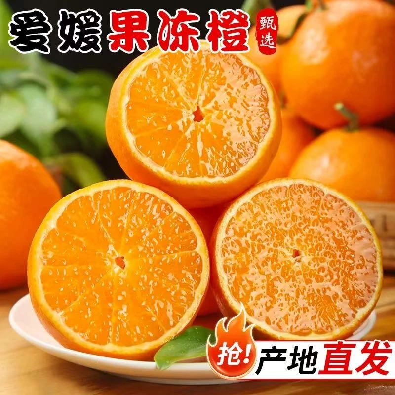 【现摘速发】正宗四川爱媛38号果冻橙应季新鲜水果皮薄肉厚酸甜爆汁