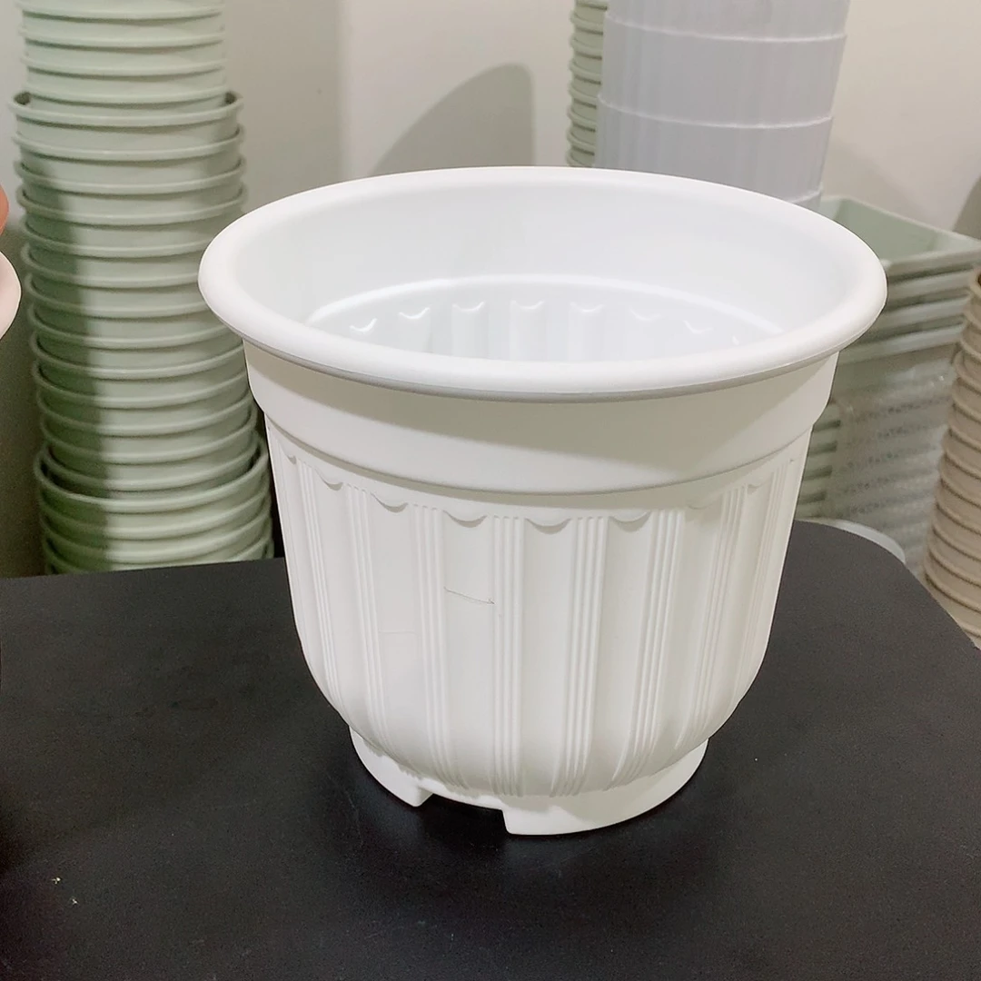 树脂罗马口21白4个带托