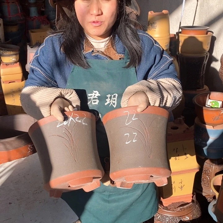 紫砂花盆盆栽花卉苗木种植