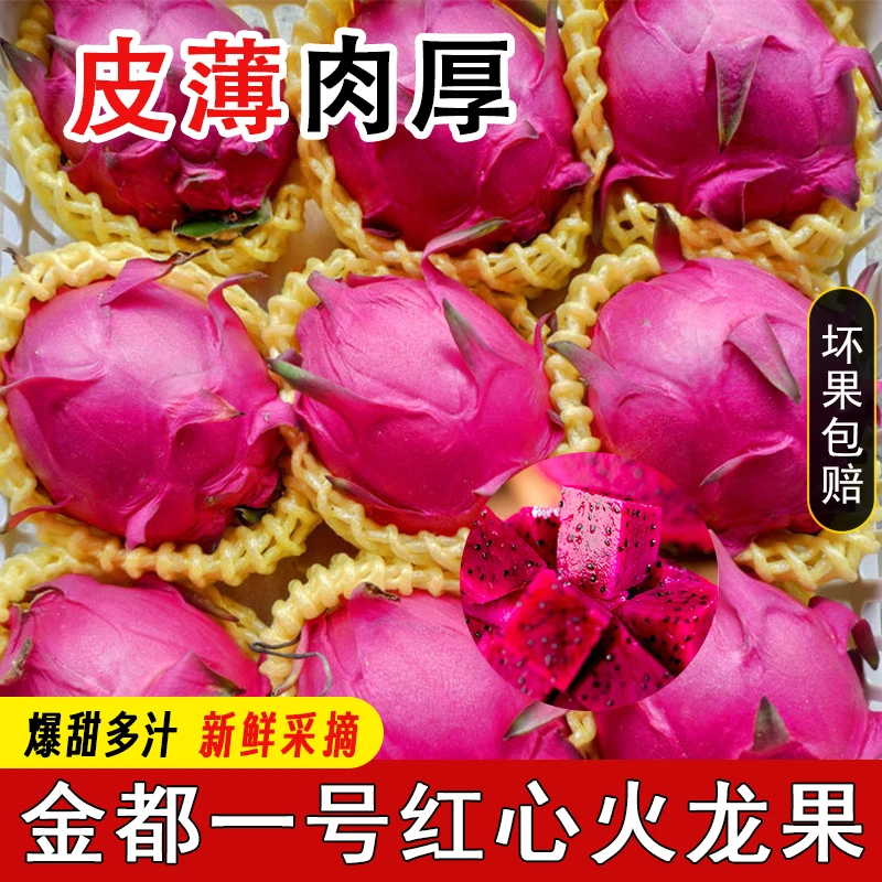 C/包邮【金都一号】红心火龙果超填多汁肉厚皮薄现摘现发坏果包赔