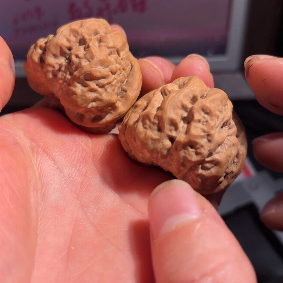 核桃40肚尺蜡皮蛤蟆头