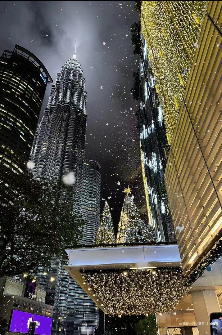 (YH)-AN2024-94款时尚长袖T恤2.14