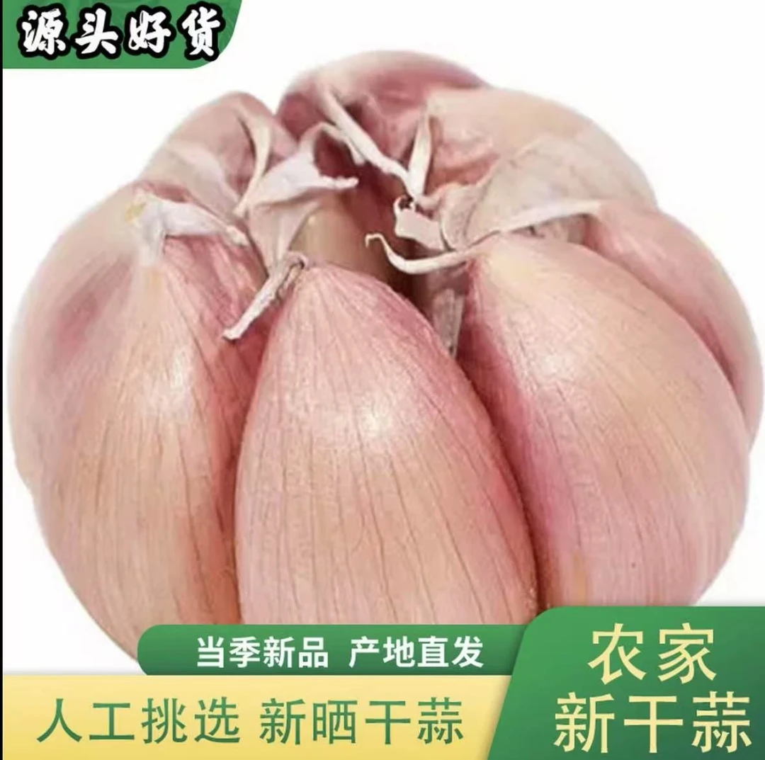 农家干大蒜精选紫白皮大蒜2025新干蒜农家土大蒜大蒜之乡产地直发