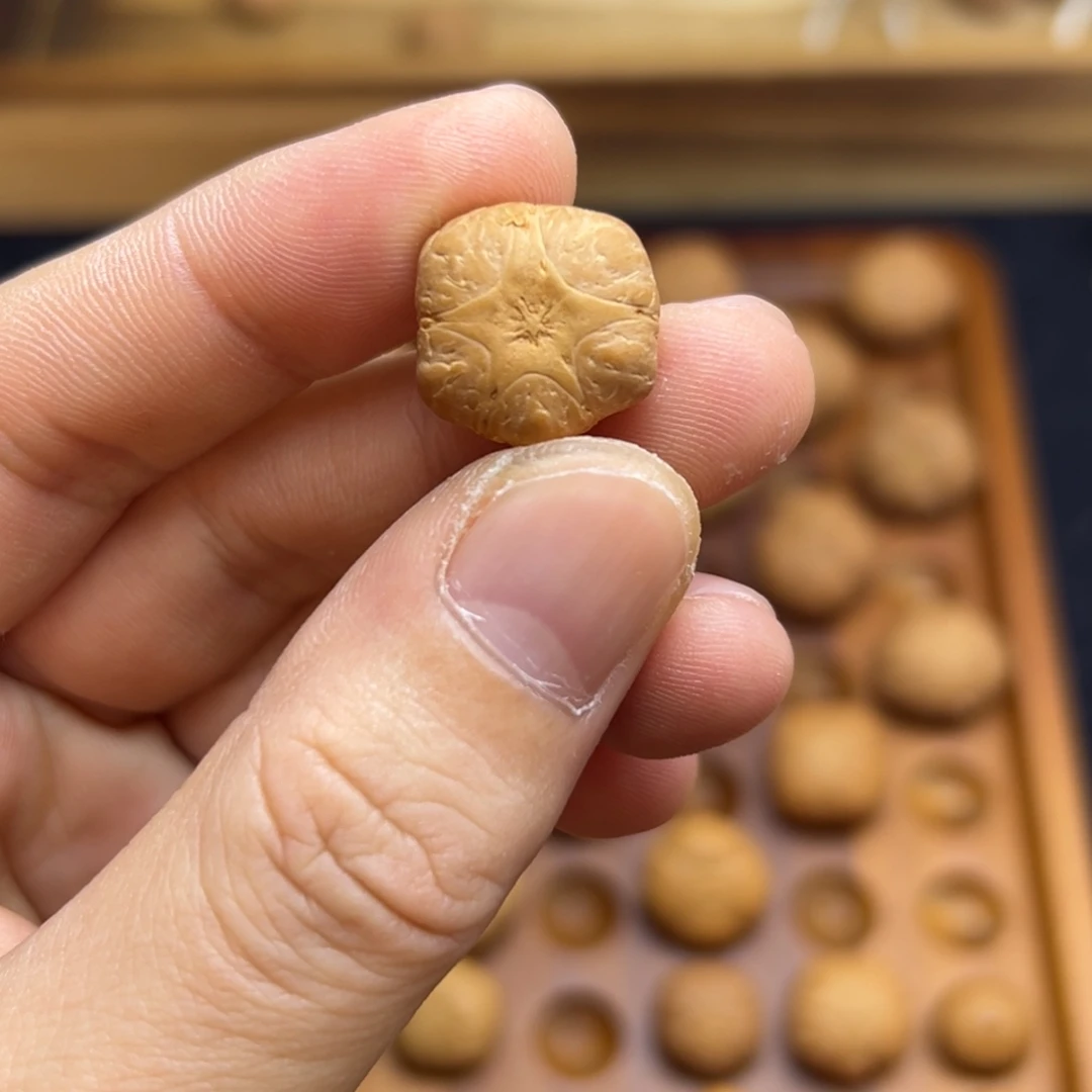 手串凤眼菩提16.1五星上将