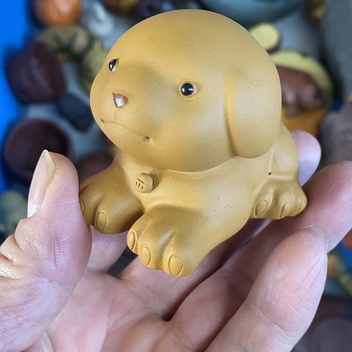 紫砂紫砂紫砂紫砂紫砂中