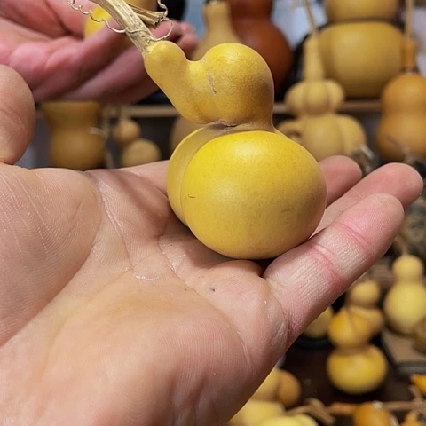 精品厚皮小金蟾葫芦