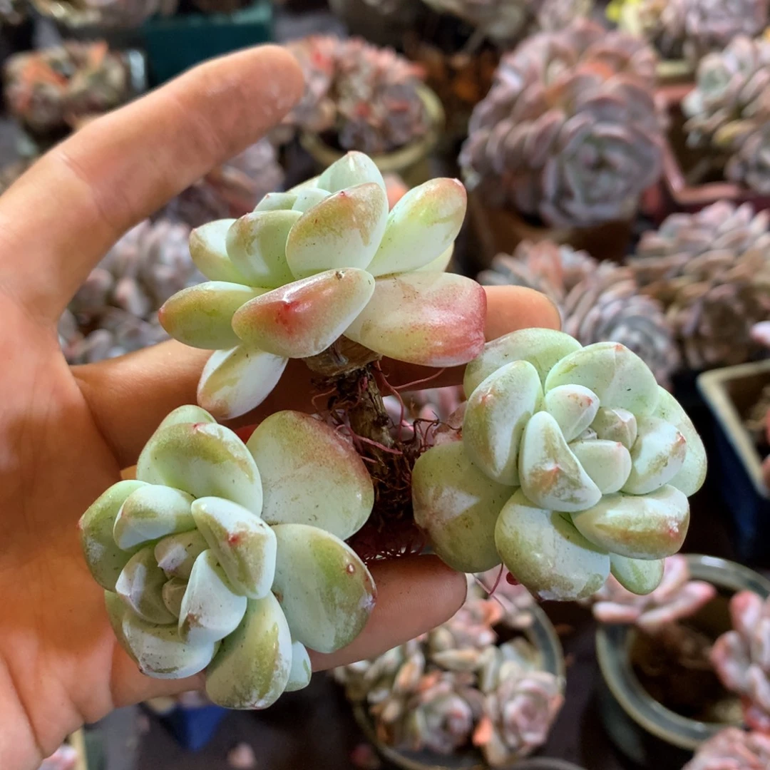 哈哈哈哈哈哈哈哈哈哈