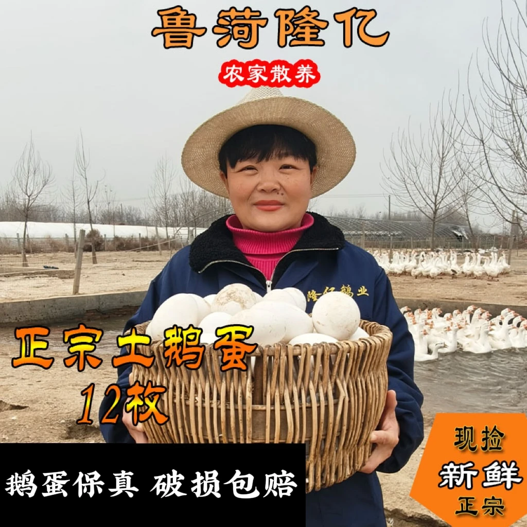 【真鹅蛋】12枚鹅蛋保真礼盒装新鲜现捡现发新鲜破碎包赔孕妇农村