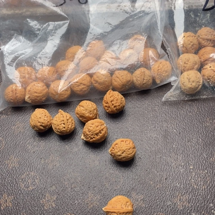 【闪购商品】核桃其他私人定制，不退不换400打孔