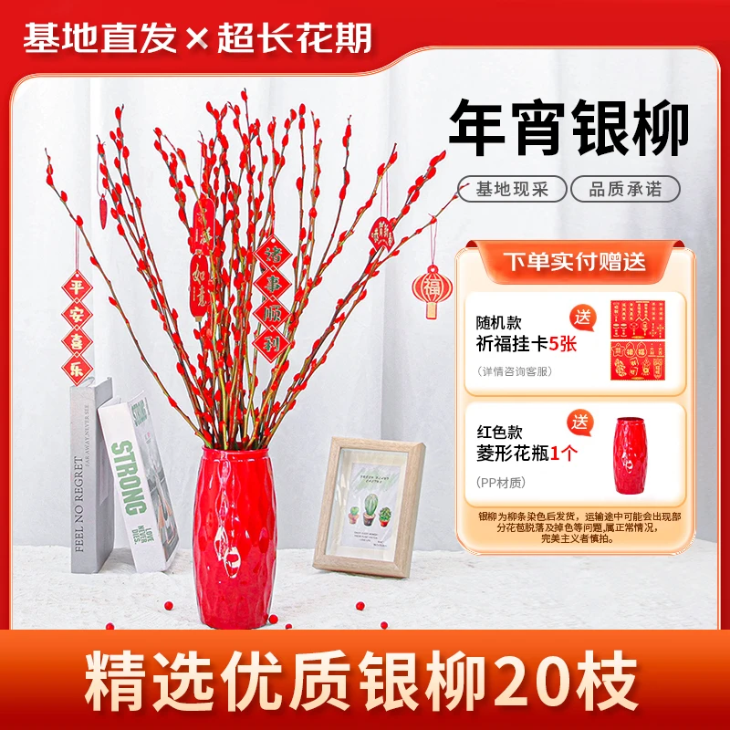 银柳真花鲜枝红色年宵花卉客厅室内干花盆栽摆件水培植物红柳鲜花