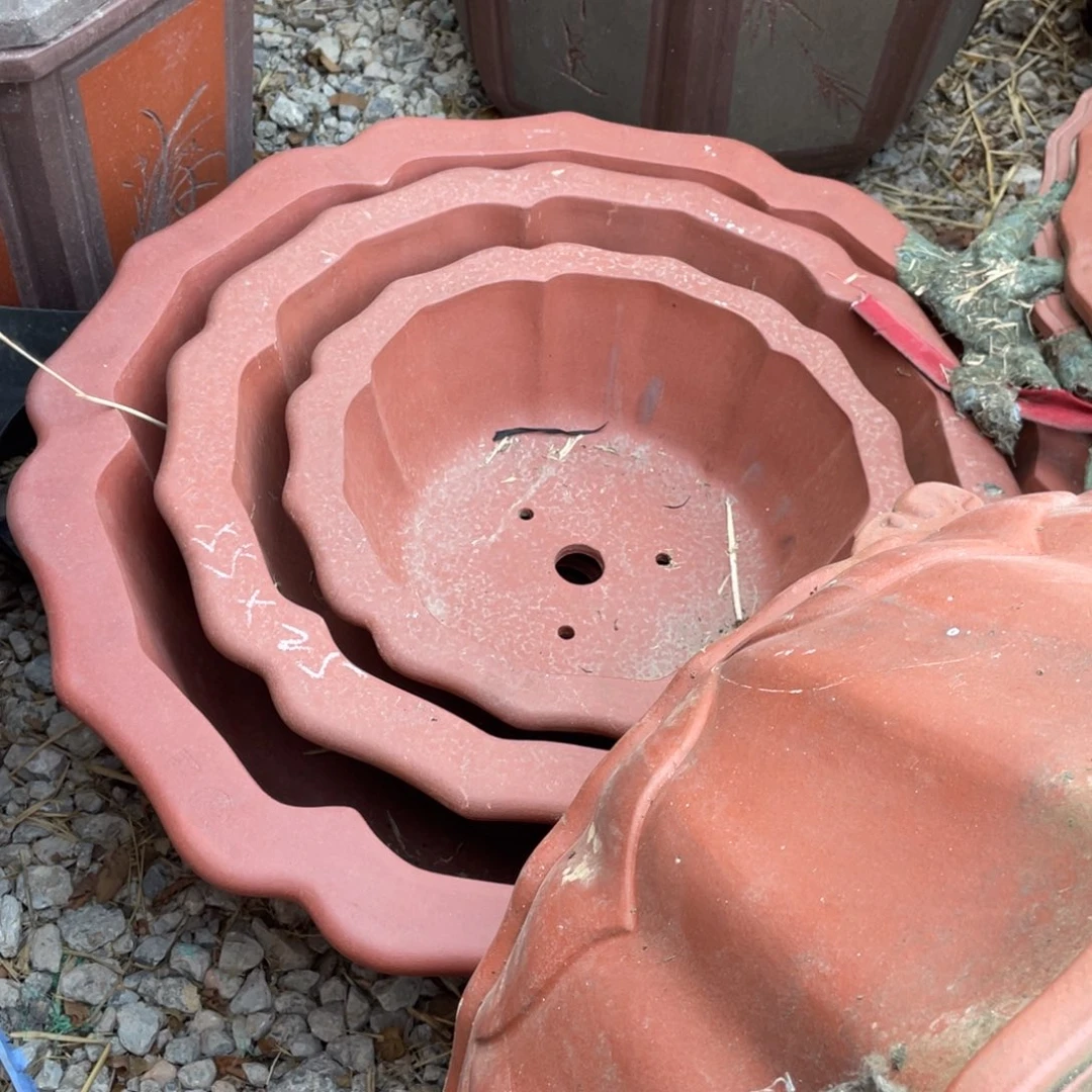 紫砂红莲花 一套三支 70/55/41