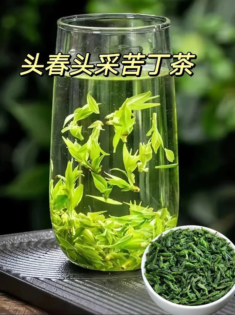 云南高山绞股蓝绿茶小叶苦丁茶