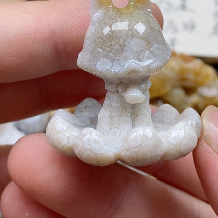 颈饰未镶嵌硅化珊瑚（珊瑚玉）