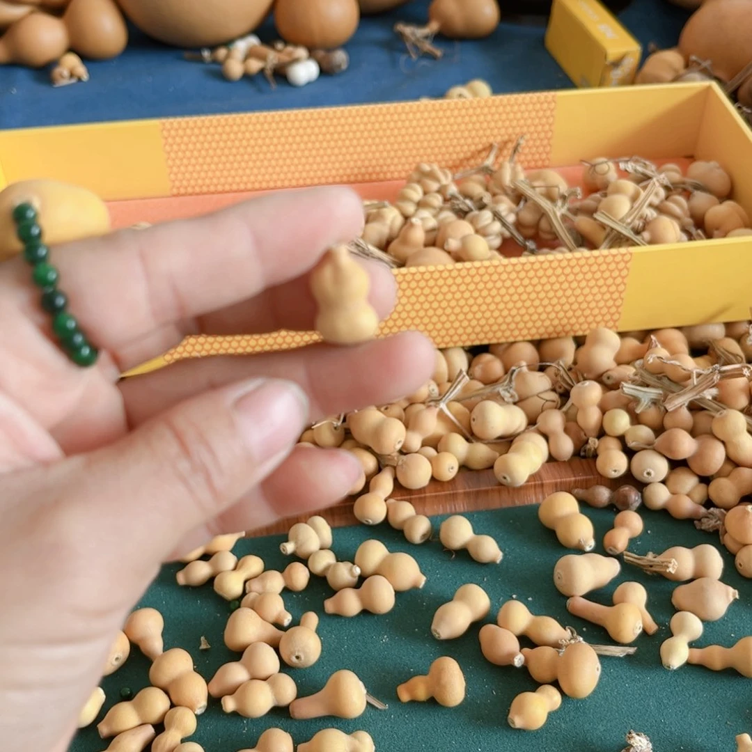 鯉***?交流葫芦葫芦葫芦