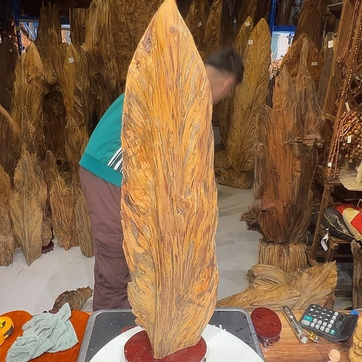 松木（琥珀木）强我