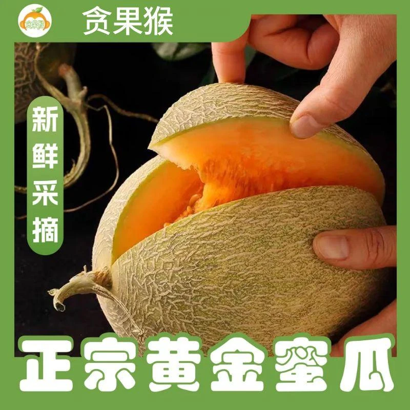 【贪果猴】新疆吐鲁番哈密瓜西州蜜25新鲜水果网纹甜瓜整箱产地包邮