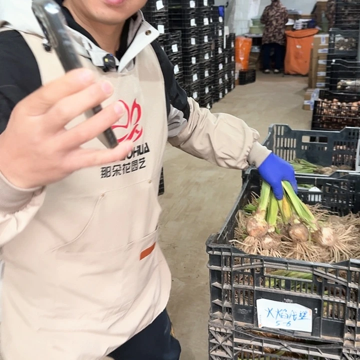 自***林随机基地球一个，，，