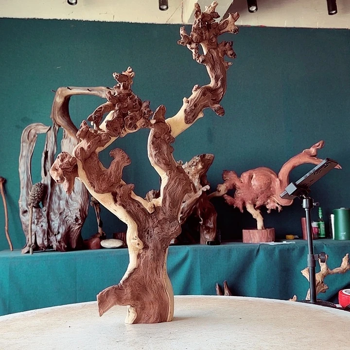 黑果木听**胜622金丝红木羊蹄甲半成品