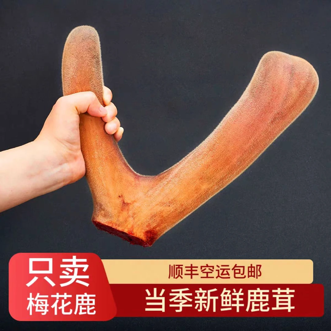 当年鹿茸不含增茸灵不打激素