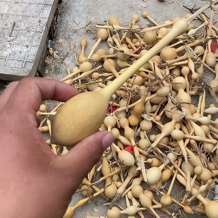 请***明手把精品文玩葫芦