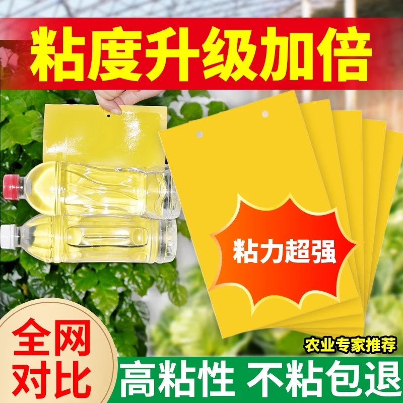 【升级款】黄板双面粘虫板蓟马纸贴黄蓝飞虫小黑飞果园沾果蝇诱捕器
