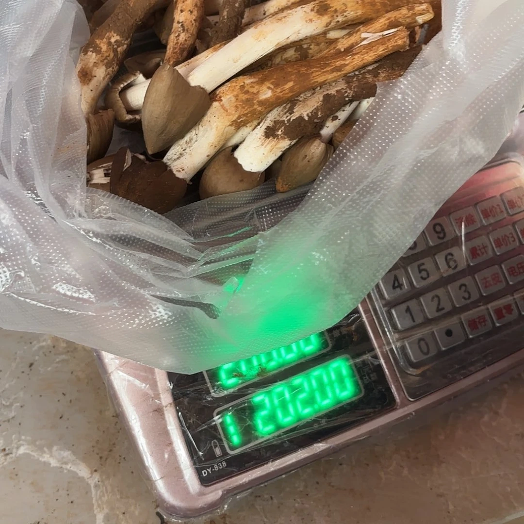 小****云南小表妹野生菌代购中国大陆