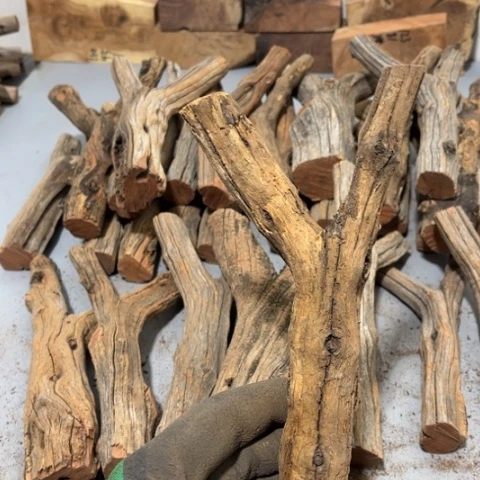 大果紫檀（缅甸花梨）临****）