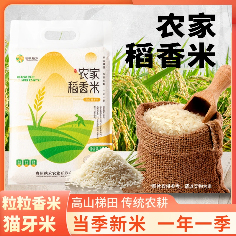 高山梯田种植长粒香猫牙米现磨新鲜口感清香大米