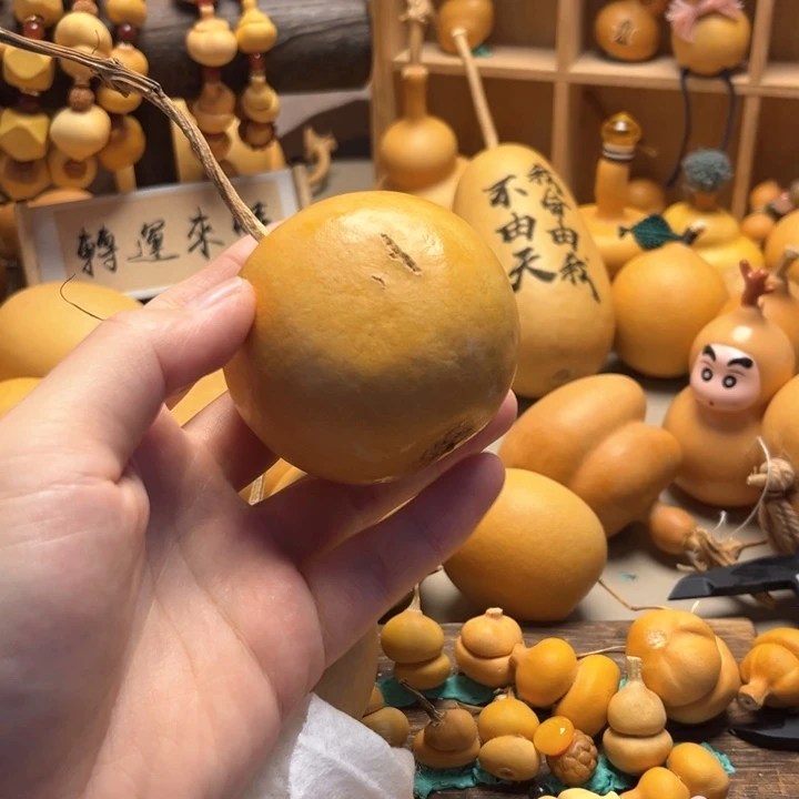 厚扁葫芦天咧葫芦