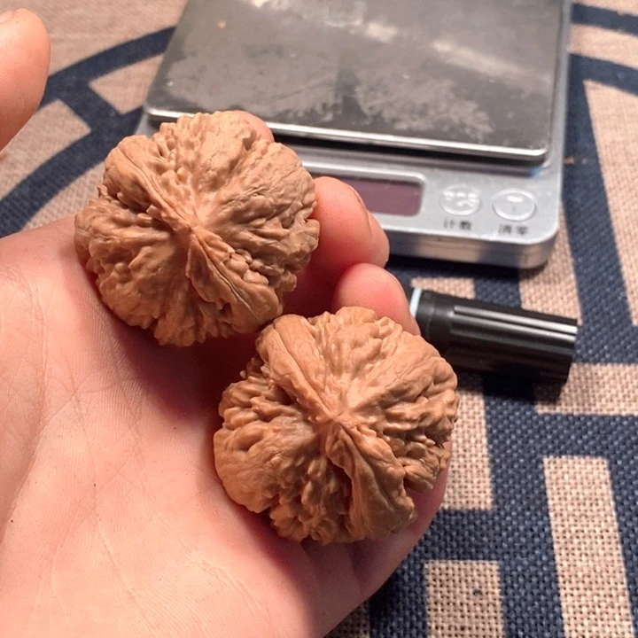 吊坠文玩核桃霸王龙全品