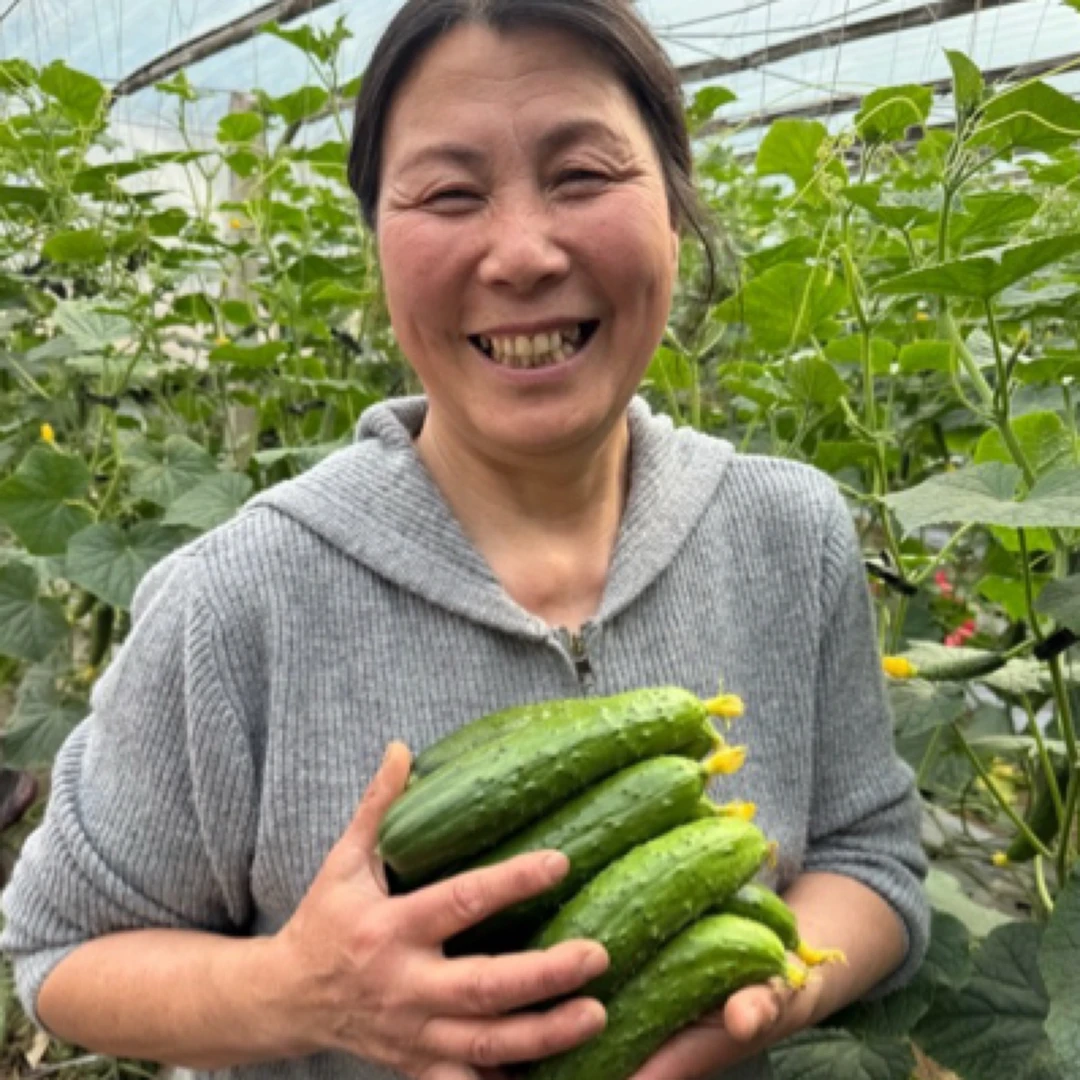 东北旱黄瓜精品农家自种鲜嫩脆甜新鲜采摘