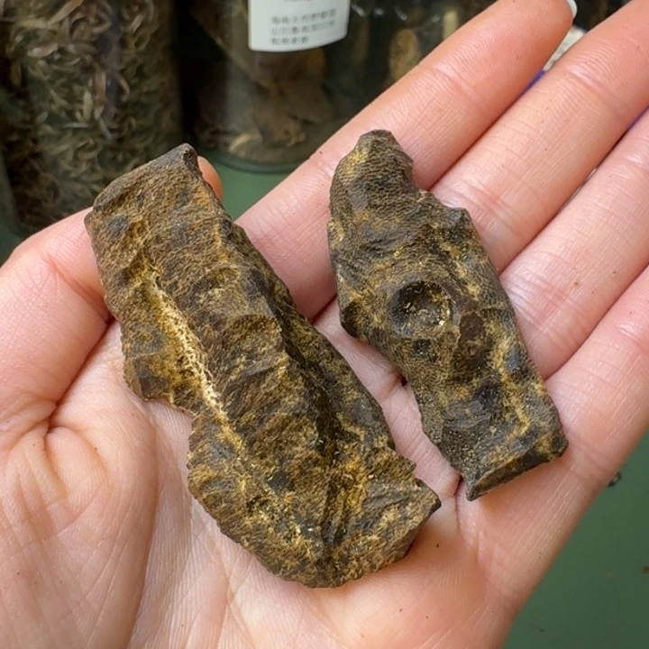 沉香手把件海南天然野棋楠鸡母虫老香块料11克