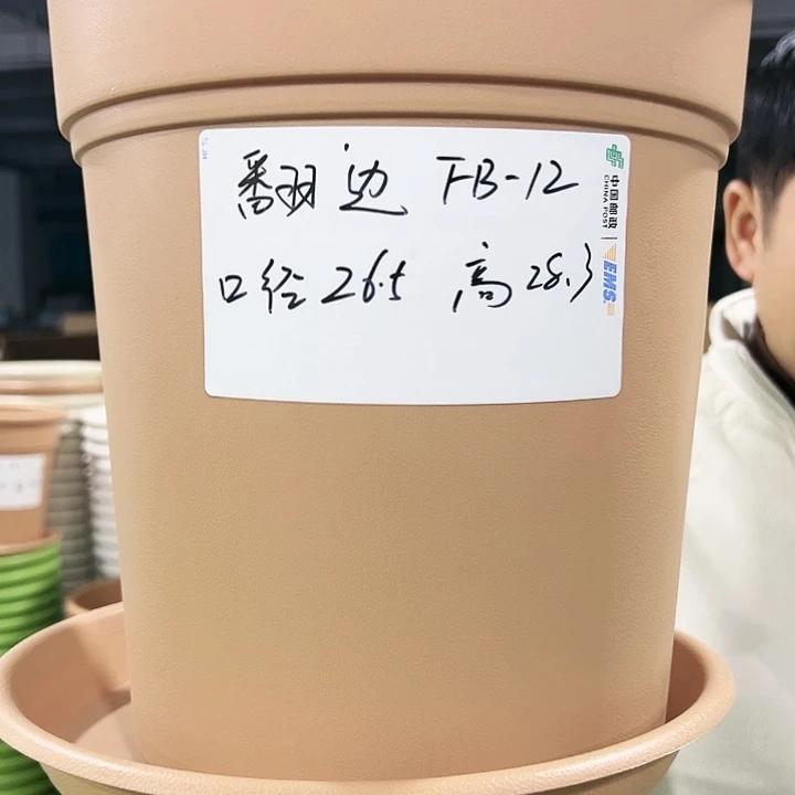 正品翻边口26高29白色5个带托