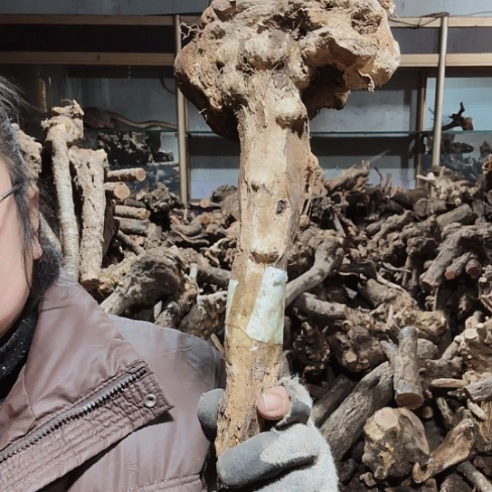 香榧木今****人火琉璃的毛料百家姓