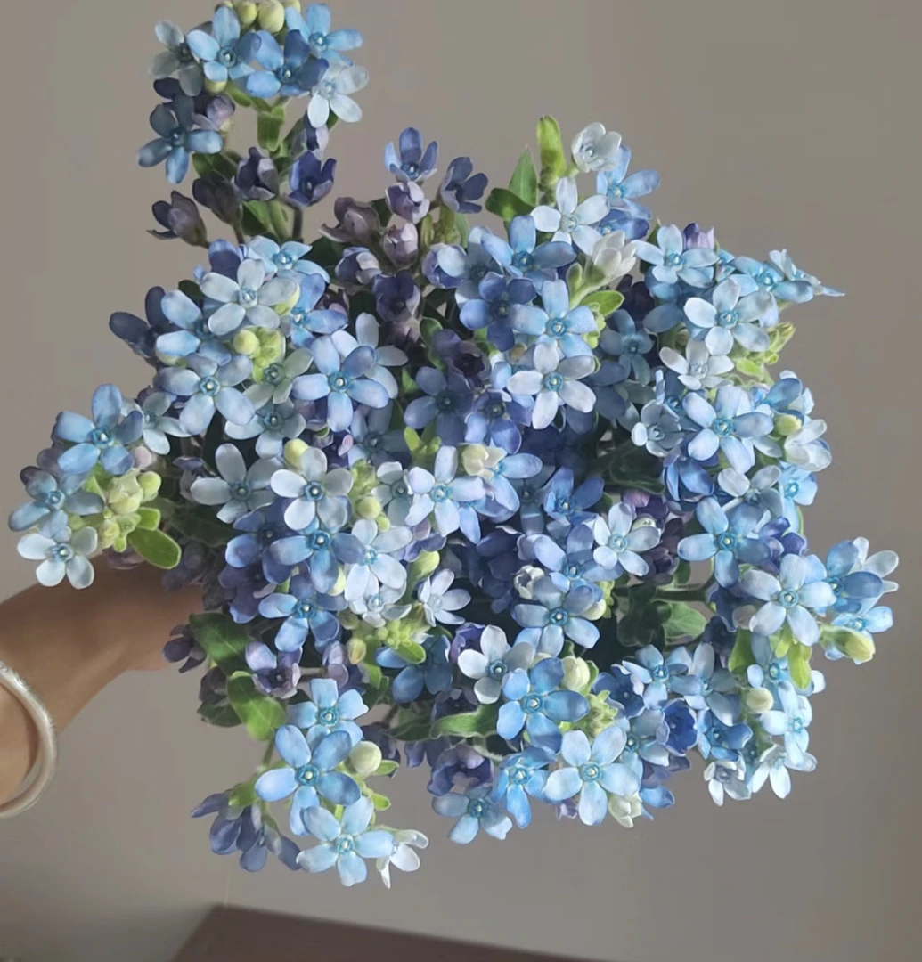 （曼）  蓝心花1扎20%防损 鲜花任意满2单包邮